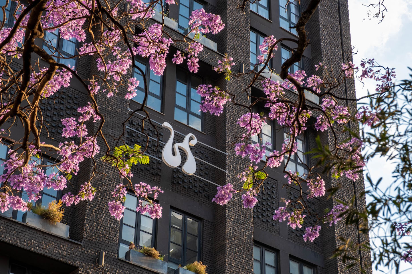 High-angle detail of the Hyde Johannesburg exterior featuring the white signature logo against dark grey brickwork, partially obscured by the delicate purple blossoms of a jacaranda tree.