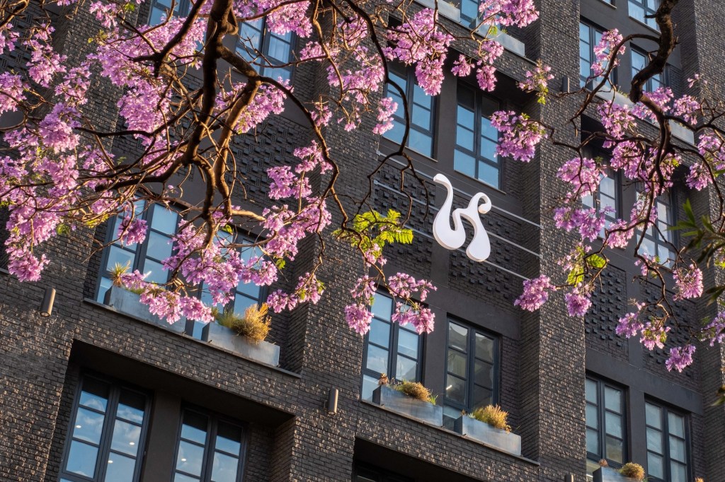A close-up view of the Hyde Johannesburg’s dark brick facade featuring a white sculptural "H" logo. Vibrant purple Jacaranda tree blossoms frame the top and sides of the frame, contrasting with the industrial-style windows and built-in planters.