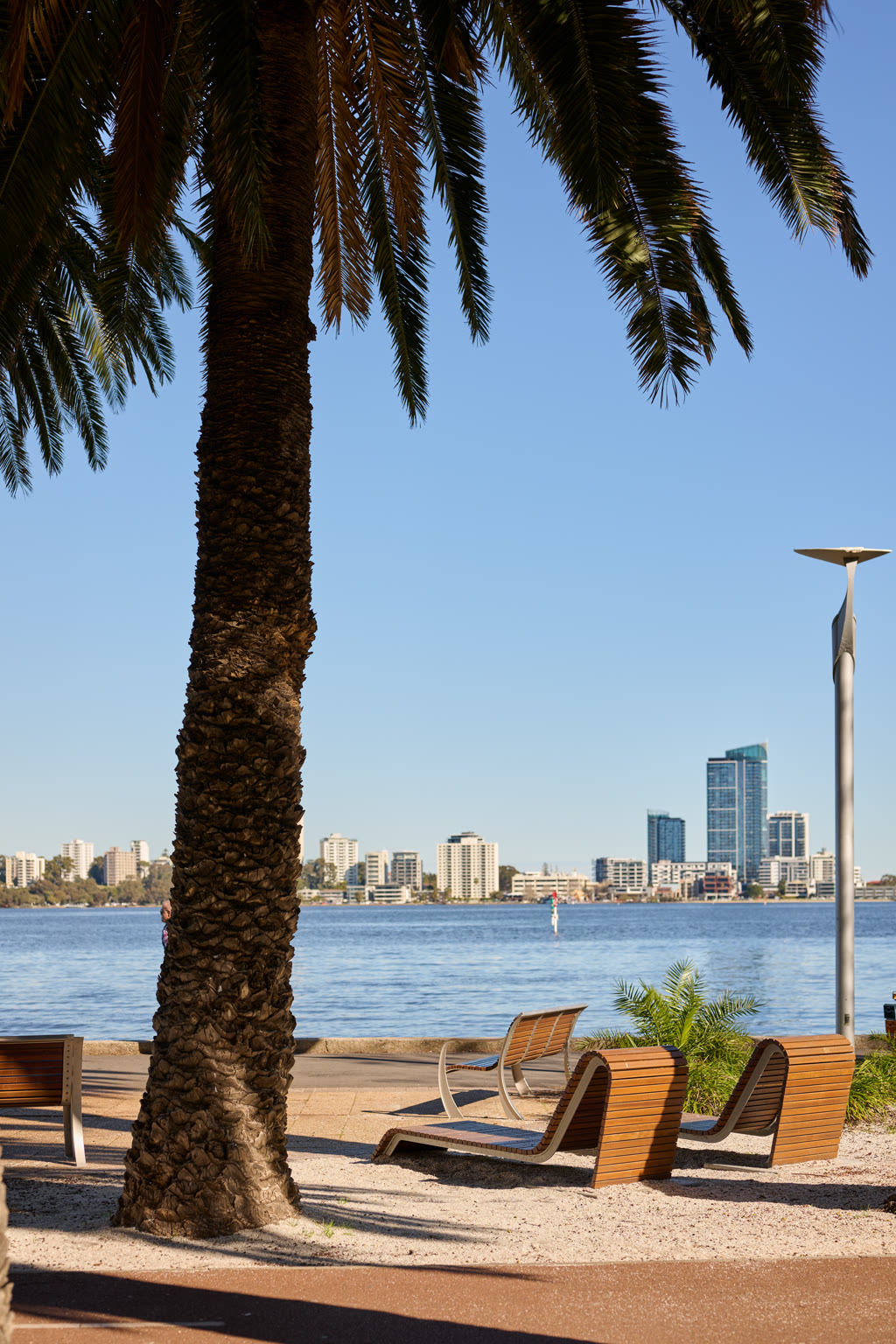 View of the sea in front of a Tree, showing the neighbourhood of Hyde Perth