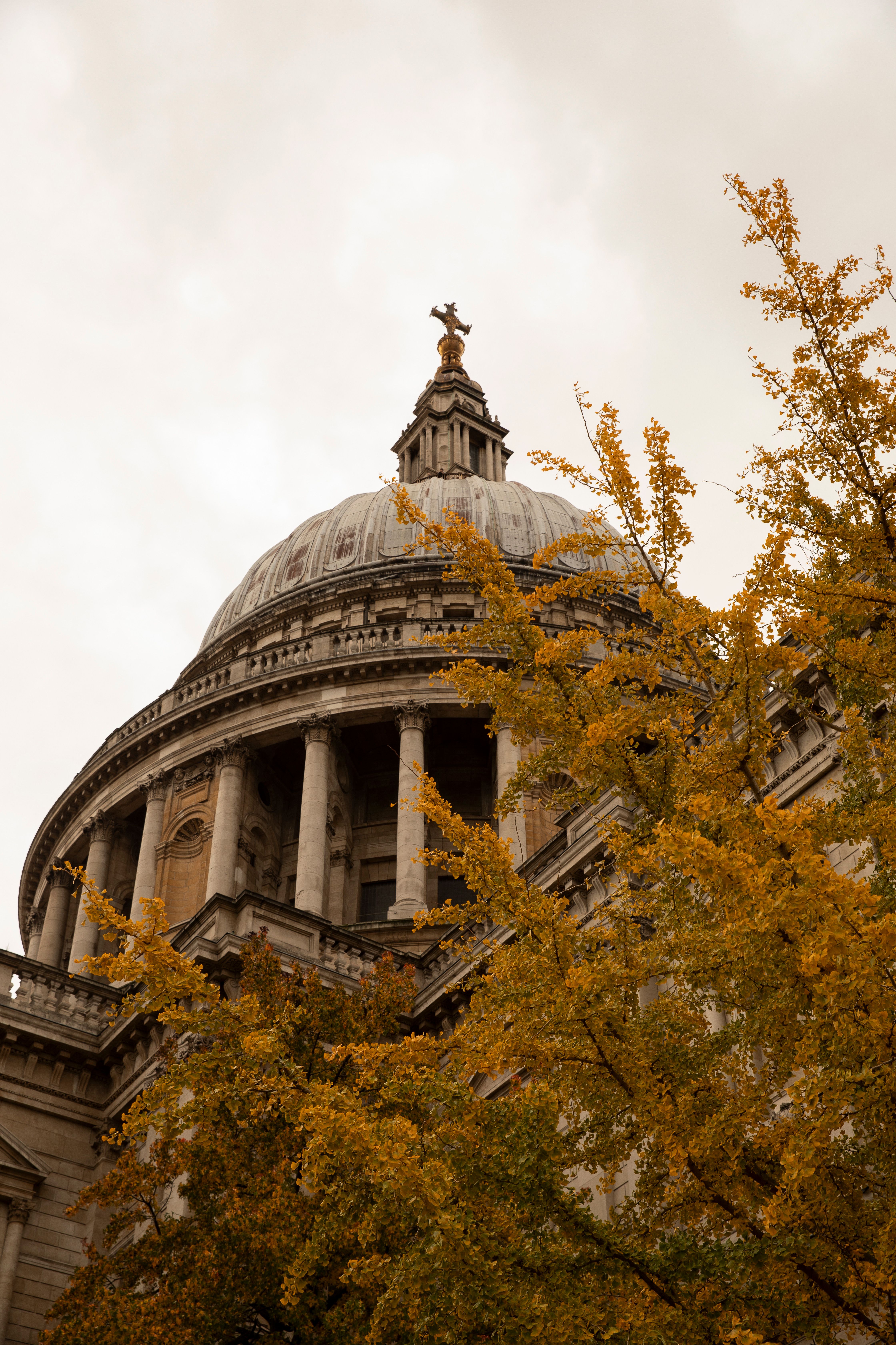St. Paul's Cathedral in Autumn