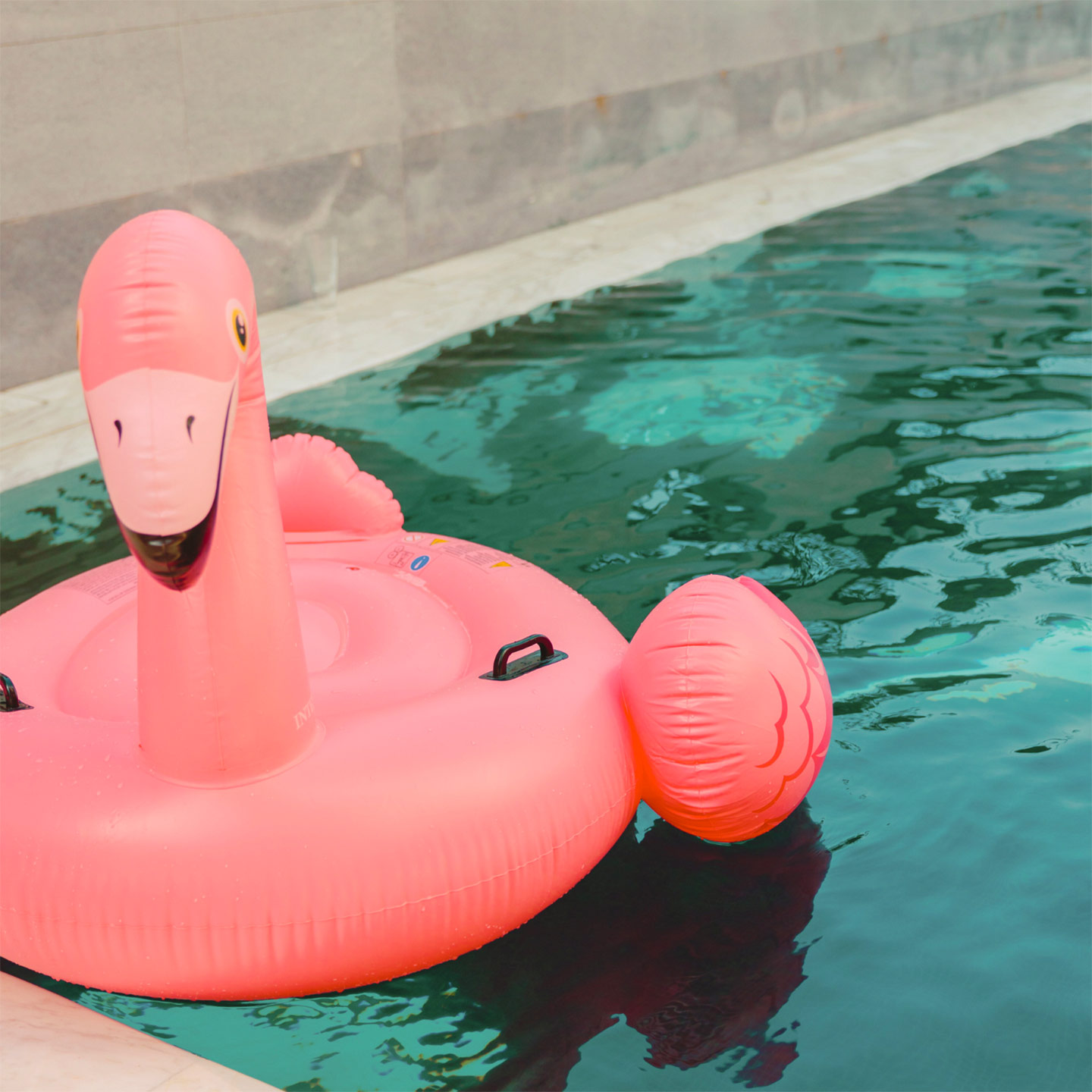 A pink flamingo float in the corner of the pool