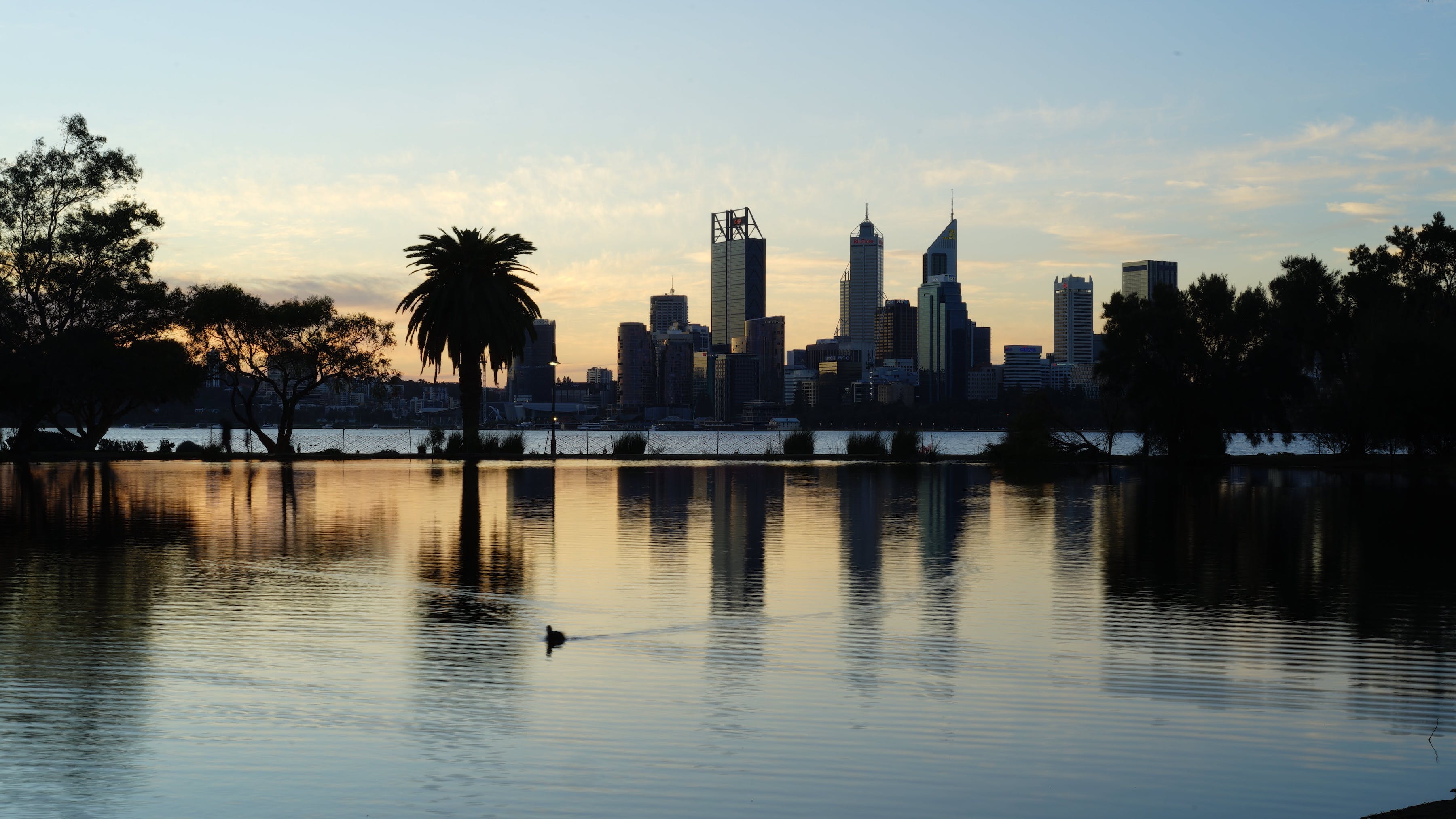 City skyline reflected on water with palm trees in the background
