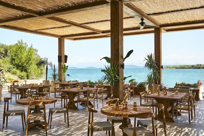 Beachside restaurant with wooden tables, wooden chairs, and palm trees with overhead patio roof