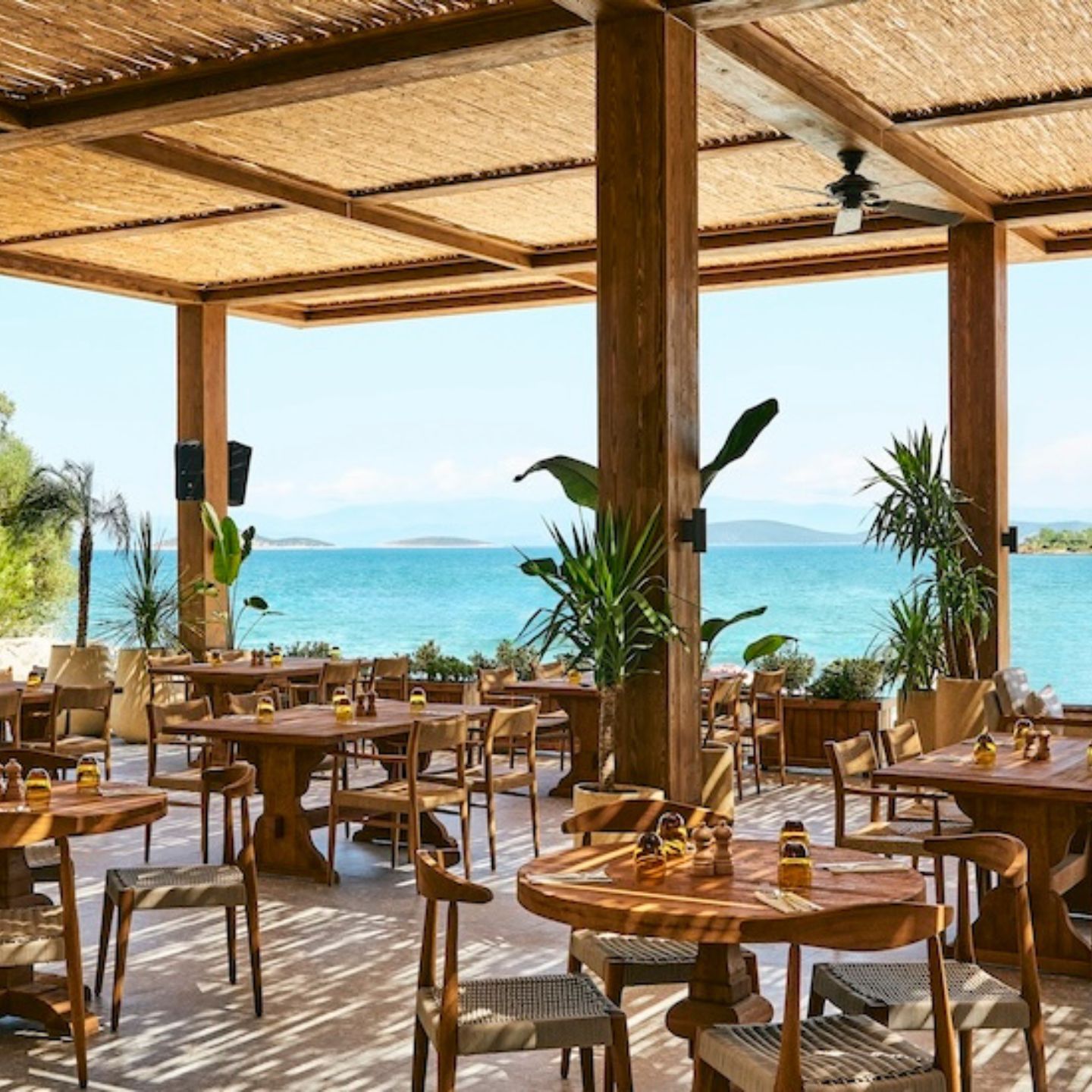 Beachside restaurant with wooden tables, wooden chairs, and palm trees with overhead patio roof