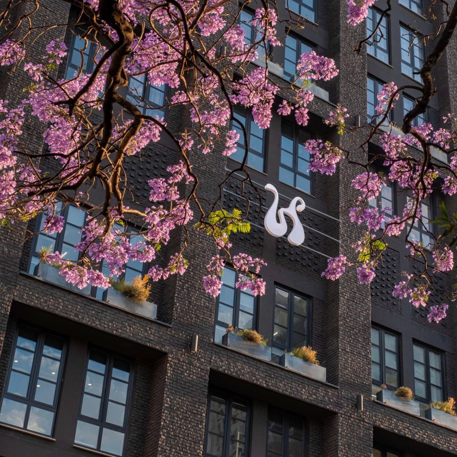 Hyde Johannesburg Rosebank grey building with the Hyde logo, surrounded by Jacarandas